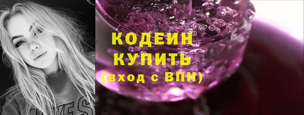 индика Абинск