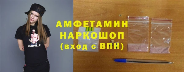 индика Абинск