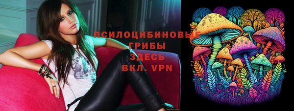 индика Абинск