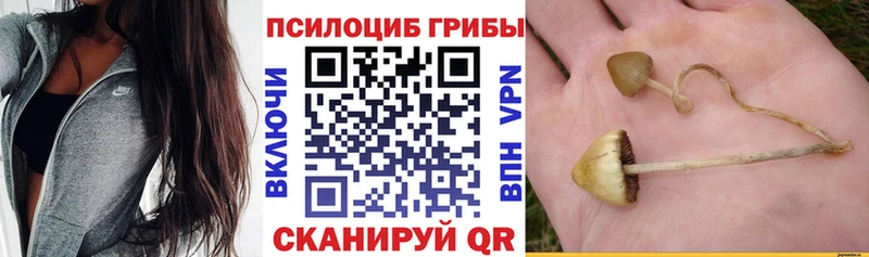 Галлюциногенные грибы мицелий  Абаза 
